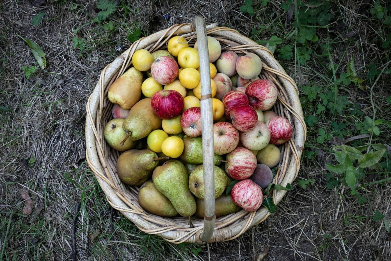 Tinui Food Forest Cottage Whareama Extérieur photo